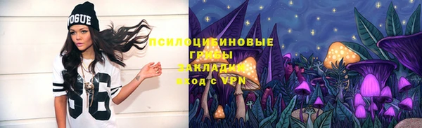 ешки Мегион