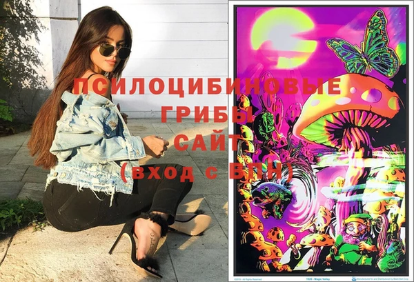 ешки Мегион